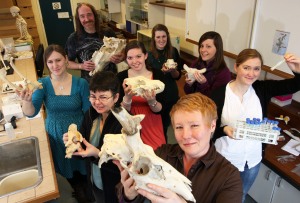 Cardiff Osteological Research Group